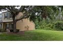 Expansive side yard featuring a shade tree and green grass at 1247 Kennewick Ct, Wesley Chapel, FL 33543