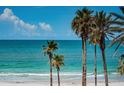 Tropical beach view with palm trees, blue skies, and clear ocean waters at 16600 Gulf Blvd # 437, North Redington Beach, FL 33708
