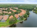 Breathtaking aerial view showcases the community with lush landscaping, lake views, and tile roofs at 18917 Avenue Biarritz, Lutz, FL 33558