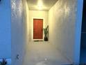 Inviting doorway featuring a bold red door, complimented with simple decorations at 11847 Dumaine Valley Rd, Riverview, FL 33579