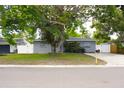 Charming single-story home with a mature tree in the front yard at 1317 S Betty Ln, Clearwater, FL 33756