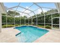 Inviting screened-in pool with a sparkling blue water, surrounded by lush landscaping at 1156 Ridgegrove W Dr, Palm Harbor, FL 34683
