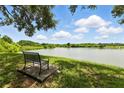 Beautiful pond with a bench and a walking path surrounded by lush greenery under a blue sky at 1201 High Hammock Dr # 302, Tampa, FL 33619