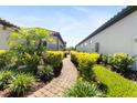 Brick path between two homes, surrounded by well-maintained landscaping with palm tree at 3312 Francoa Dr, Odessa, FL 33556