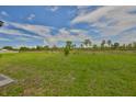 Expansive green backyard, perfect for outdoor activities and enjoying nature at 4485 Eternal Prince Dr, Sun City Center, FL 33573