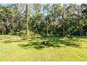 Large, grassy backyard with mature trees, offering plenty of space for outdoor activities and enjoyment at 604 Kinnear Dr, Brooksville, FL 34601