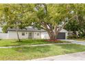 Single-story home featuring a big tree, manicured lawn, freshly painted, and a decorative glass front door at 12092 97Th Ave, Seminole, FL 33772