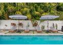 Beautiful poolside view with lounge chairs and umbrellas, creating a relaxing outdoor oasis at 1242 Whisper Dr, Largo, FL 33770