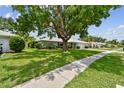 The front yard showcases a mature tree providing shade over the house, with a lush lawn extending to the sidewalk at 2418 Cardwell Way, Sarasota, FL 34231