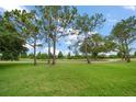 Expansive green golf course fairway with mature trees under a bright sky at 3137 Banyan Hill Ln, Land O Lakes, FL 34639
