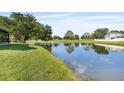 This is a serene pond reflecting the sky with lush green grass on the shore at 5131 Gato Del Sol Cir, Wesley Chapel, FL 33544