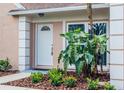 Inviting front entrance with a white door, garden beds with tropical plants, and manicured mulch ground cover at 1621 Crossridge Dr, Brandon, FL 33510
