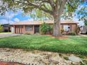 Charming single-story home with a copper roof, beautiful tree, and well-manicured landscaping at 3304 Alamar St, Lutz, FL 33558