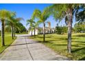 Long driveway leading to a beautiful home with mature palm trees and a well-maintained lawn at 1109 Colson Rd, Plant City, FL 33567