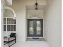 The beautiful, glass front doors offer a grand entrance to the home at 18803 Misty Shores Ln, Lutz, FL 33548