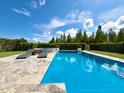 Stunning backyard pool with lounge chairs, landscaped greenery, and clear blue water on a sunny day at 19636 Long Lake Ranch Blvd, Lutz, FL 33558