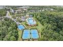Aerial shot showcasing the community amenities including tennis courts and resort style pool at 20302 Noble Oak Pl, Tampa, FL 33647