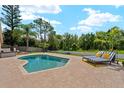 Backyard pool with a stone paver patio, chaise lounges, and tropical landscaping at 9206 Brindlewood Dr, Odessa, FL 33556
