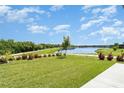 Lush backyard with serene lake views, complemented by well-maintained landscaping at 9814 Quadrangle Ct, Sun City Center, FL 33573