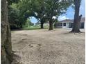 Large backyard featuring mature trees, offering plenty of space and natural beauty at 17048 State Road 54, Lutz, FL 33558