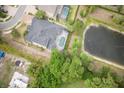 Aerial view of a single Gathering home with a backyard pool, pond, and mature trees surrounding the property at 3603 Arbor Chase Dr, Palm Harbor, FL 34683