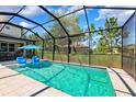 Screened pool with blue water, surrounded by a patio and landscaping at 3833 Villamore Ln, Odessa, FL 33556
