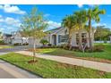Charming home boasts a three-car garage, lush front lawn, and mature palm tree landscaping at 6035 Nikki Ln, Odessa, FL 33556
