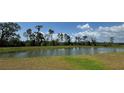 Scenic view of the pond and surrounding landscape at 8922 Little Bluestem Dr, Land O Lakes, FL 34637