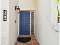 A stately blue front door adds curb appeal to this home and features an updated light fixture and side window at 4304 Harbor House Dr, Tampa, FL 33615