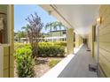 Exterior hallway view with lush landscaping and multiple unit entrances at 1301 S Howard Ave # A9, Tampa, FL 33606
