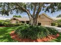 Charming single-story home with a large tree, lush landscaping, and a tile roof at 2455 Anthony Ave, Clearwater, FL 33759