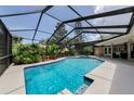 Screened-in pool area featuring a pristine pool, spa, and lush landscaping for privacy at 2455 Anthony Ave, Clearwater, FL 33759