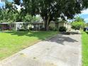 View of the house with a long driveway, front lawn, and mature trees providing shade at 7908 Croton Ave, Tampa, FL 33619