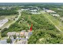 Aerial view of a home nestled among lush trees and close to nearby amenities at 8050 Diablo Ct, Trinity, FL 34655