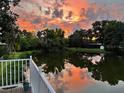 Backyard view of lake with sunset reflected in the calm water, surrounded by trees at 3012 Grand View Ave, Clearwater, FL 33759