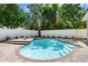 Backyard inground pool with brick deck, surrounded by a privacy fence and mature landscaping at 521 51St S Ave, St Petersburg, FL 33705