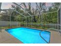 Inviting screened-in pool with crystal clear water, surrounded by lush greenery at 10032 Basin St, New Port Richey, FL 34655