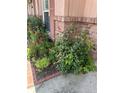 Charming flower bed and colorful blooms enhances the curb appeal of this lovely home at 15316 Winding Creek Dr, Tampa, FL 33613