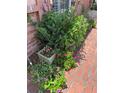 Charming flower bed with a variety of blooming plants and a brick walkway at 15316 Winding Creek Dr, Tampa, FL 33613