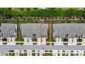 Aerial view of townhome highlighting the property and landscaping at 2155 Cerulean Sky Dr, Lutz, FL 33558