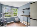 Blue room with a large window, desk, and cat tree at 4044 56Th N Ave, St Petersburg, FL 33714