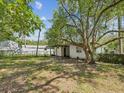 A spacious backyard with mature trees, a chain link fence and a storage building at 111 E Early St, Brooksville, FL 34601