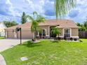 Lovely single-story home with green lawn and ample space between tropical landscaping at 9702 Mary Robin Dr, Riverview, FL 33569