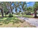 Expansive front yard showcasing mature trees and a long driveway leading to the property at 1110 Mercer Loop, Plant City, FL 33567