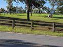 Charming horse property with wooden fencing and a horse grazing in the front yard at 28410 Wildlife Ln, Brooksville, FL 34602