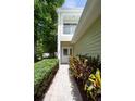 Inviting front entrance with well-maintained landscaping, leading to a charming and welcoming home at 932 Woodbridge Ct, Safety Harbor, FL 34695