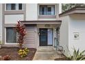 Inviting front entrance adorned with vibrant plants and tasteful decor at 1830 Cypress Trace Dr, Safety Harbor, FL 34695