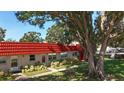 Exterior view of condos with red roofs surrounded by manicured landscaping and mature trees at 5870 38Th N Ave # 44, St Petersburg, FL 33710
