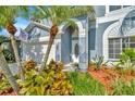 Inviting front entrance with a decorative door, lush plants, and mulched flower beds at 1734 Mapleleaf Blvd, Oldsmar, FL 34677