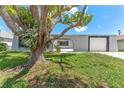 Well-maintained home exterior showcasing the front lawn and tree with shadows at 4016 Grayton Dr, New Port Richey, FL 34652